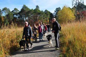 Erlebniswandern mit Hunden