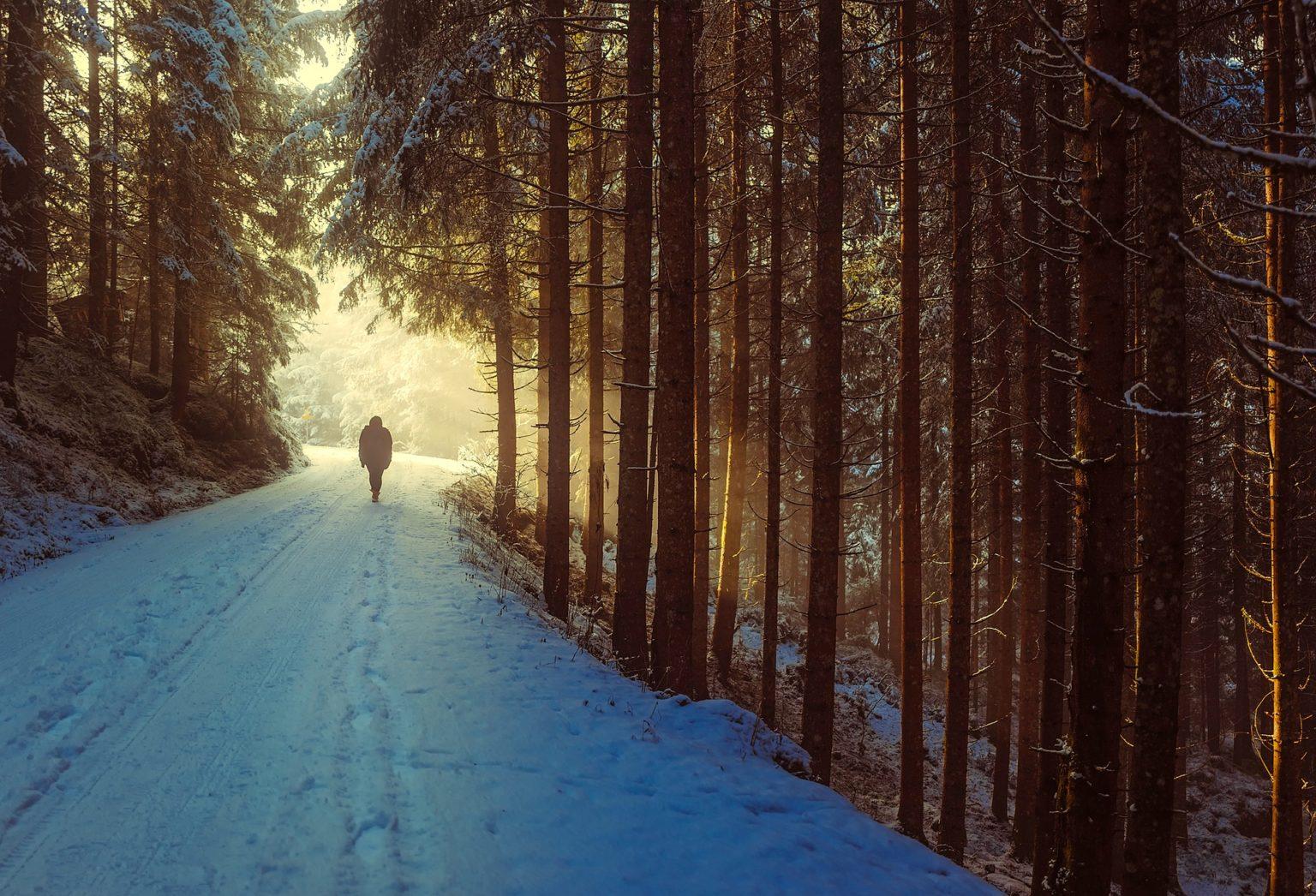 winter-1936638_1920